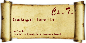 Csoknyai Terézia névjegykártya