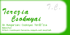 terezia csoknyai business card